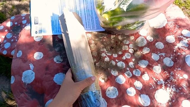 Распаковка азимины с AgroMarket. смотреть онлайн