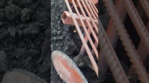 Посадка картофеля в соседнем хозяйстве 33/75