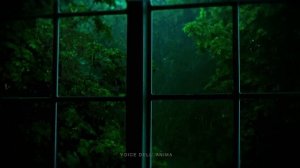 Звуки Дождя - Красивая Музыка Природы со Звуками Флейты - Музыка для Спокойного Сна