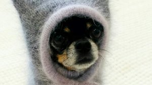 часть 3 Вяжем капюшон