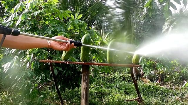 High Pressure Washer Power 2000 W vs Papaya | Cut Fruit Videos смотреть онлайн
