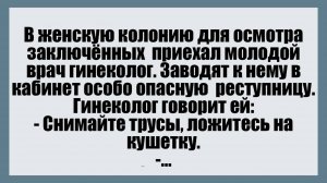 В женскую колонию для осмотра заключённых приехал молодой врач гинеколог. - Смешные анекдоты