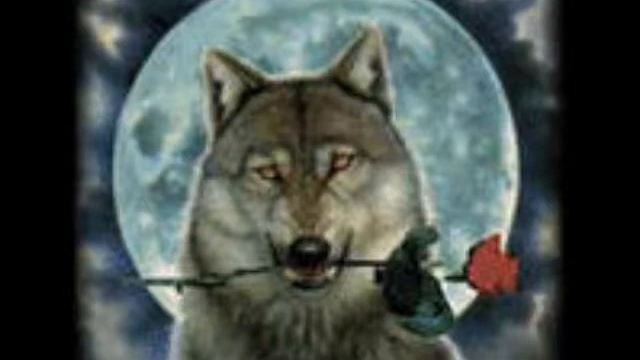 ария кто ты смотреть онлайн