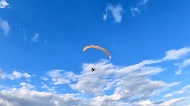 Bad Apples 2022 смотреть онлайн