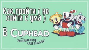 Как пройти ( не сойти с ума ) в "Cuphead the delicious course"