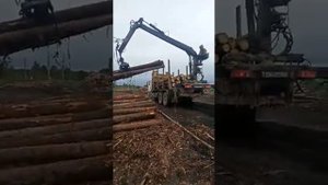 КАМАЗ 43118 лесовоз с манипулятором