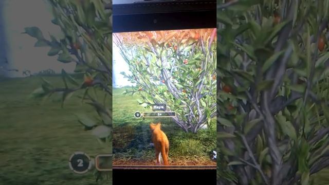 Играю в симулятор кота и кошки#1 смотреть онлайн