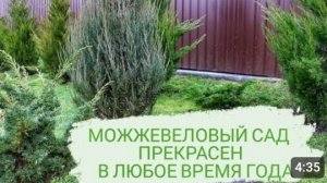 МОЖЖЕВЕЛОВЫЙ САД ПРЕКРАСЕН В ЛЮБОЕ ВРЕМЯ ГОДА. 23.02.2024г.