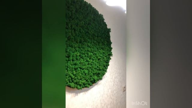 Фитокартина из стабилизированного мха 🌿