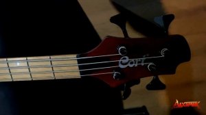 Что купить нового? бас гитара Cort A4 или Cort B4. Обзор и сравнение.#bass, #livemusic