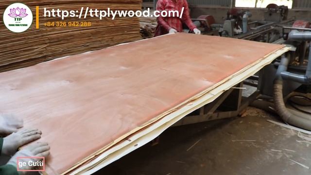 PACKING PLYWOOD - QUALITY AND CHEAP PRICE смотреть онлайн