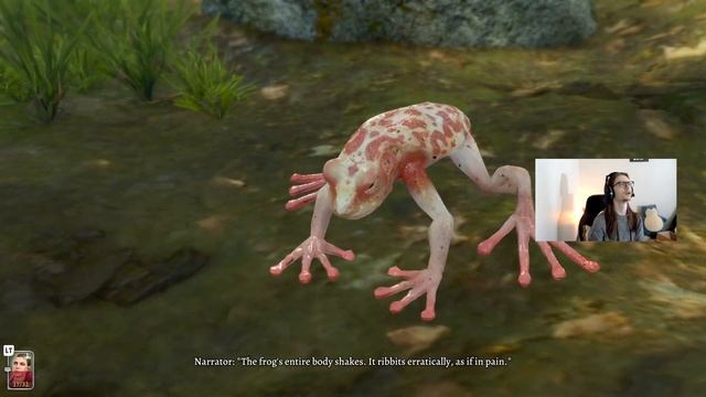 Goblins O' Plenty: Kizit's BG3 Stream Archives смотреть онлайн