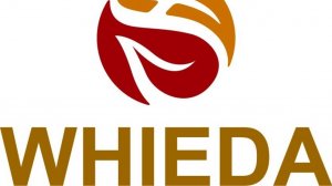 Женские  анионовые прокладки ANION+