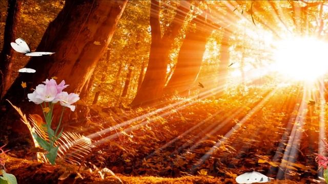 "Всё прошло". Елена Бажанова. смотреть онлайн