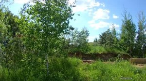 В последний раз поднялись на гору.