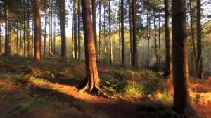 Сахалин ты моя судьба.mp4