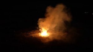 FPC211-2 МАЛИНОВКА С ТРЕСКОМ (жуки)