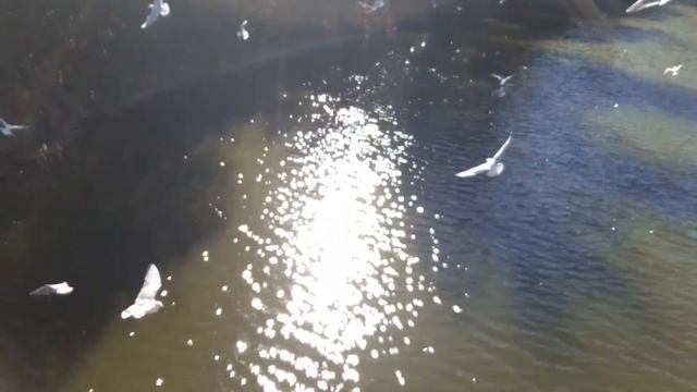 Красота выходного дня смотреть онлайн