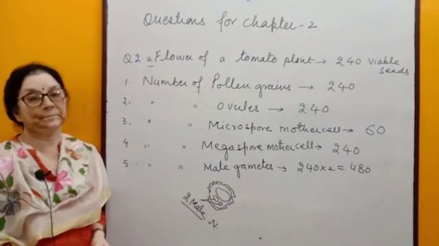Important Questions | Sexual Reproduction in Flowering Plants | Class 12 Biology NCERT Chapter 2 смотреть онлайн