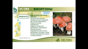 Глухота и многие болезни  ПОБЕЖДАЕТ  виоргон 22