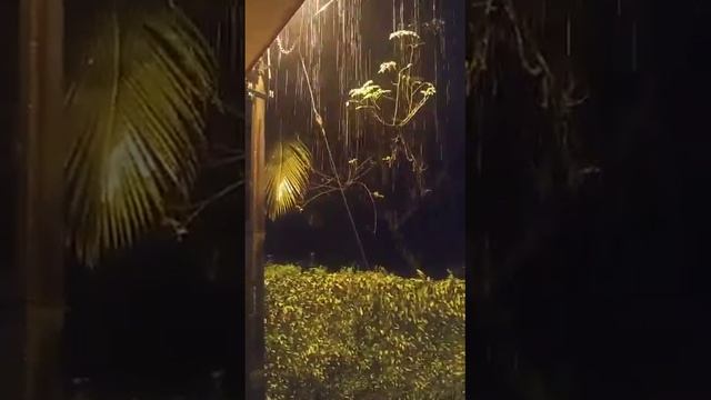 Nawaythi song Paws paws смотреть онлайн