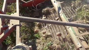 копалка двухрядная для минитрактора