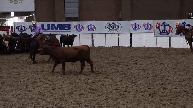 Royal Sadie Belle: 4 Year-Old Open at 2020 American Royal Cutting смотреть онлайн