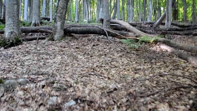 Солнечный луч смотреть онлайн