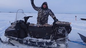 За окунем, день второй. Нижневартовск.