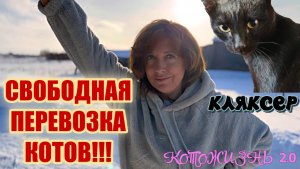 Февраль-2025