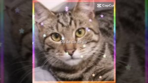 мой пупсик💋💋