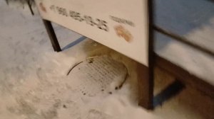 АНОНИМУСЫ против НЕГРОНИМУСОВ 2 (1 сезон 4 серия)
