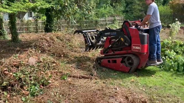 Dingo TX 1000 with brush grapple attachment - My favorite tool! смотреть онлайн