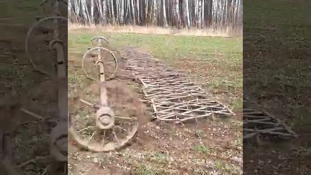 Боронование посевов БИО-ржи смотреть онлайн