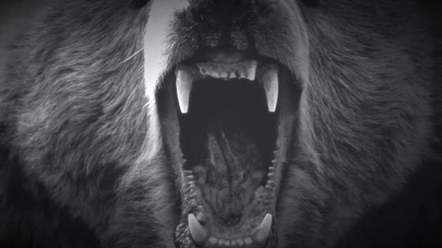 СТРАШИЛКИ ОТ КОМПУКТЕРА - МЕДВЕДЬ смотреть онлайн