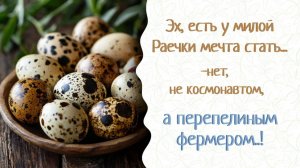 У Кати домашняя перепелиная ферма и много секретов. Раечка записывает их. Гепалан, Ветоспорин-Ж