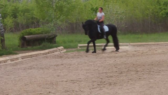 рысь смотреть онлайн