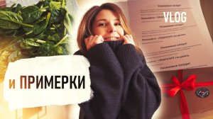 оконные ВРЕДИТЕЛИ, королева ВЕЧЕРИНОК, куриный РУЛЕТ, подарки VLOG - Senya Miro