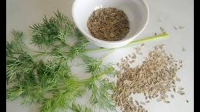 Семена укропа от сердечных болезней смотреть онлайн