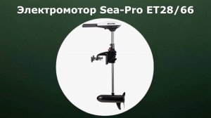 Электромотор Sea-Pro ET28/66