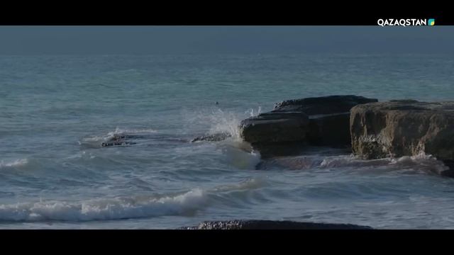 Сезім толқыны І 16-бөлім смотреть онлайн