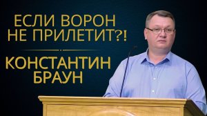 Если ворон не прилетит - Константин Браун