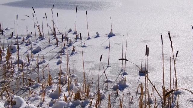 Осторожно! Тонкий лед смотреть онлайн