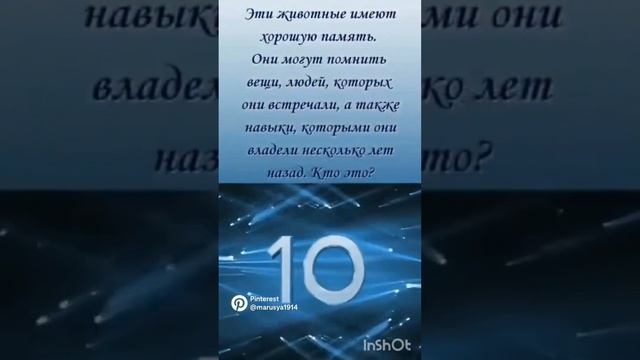 ***Удивительные факты ...животный мир.....природа** смотреть онлайн
