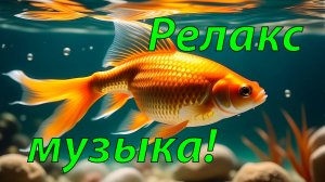 🐠 БЕЗУМНО КРАСИВАЯ АНТИСТРЕСС МУЗЫКА ДЛЯ ДУШИ 🎵 ПОДВОДНЫЙ МИР И МУЗЫКА ДЛЯ СНА И МЕДИТАЦИИ