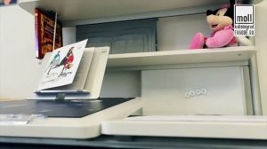 Короткая презентация мебели Moll