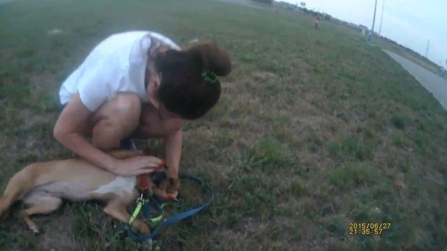 Lili 1 37 PICT0009 смотреть онлайн