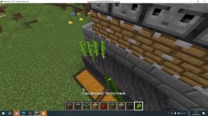 Как построить автоферму тростника в майнкрафте/Virus