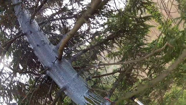 Доктор лес2 смотреть онлайн