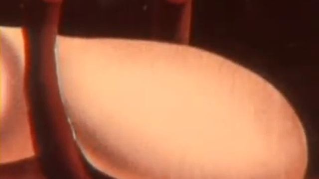 salvador dali   construction molle avec haricots bouillis   doc arte fr  2002 смотреть онлайн